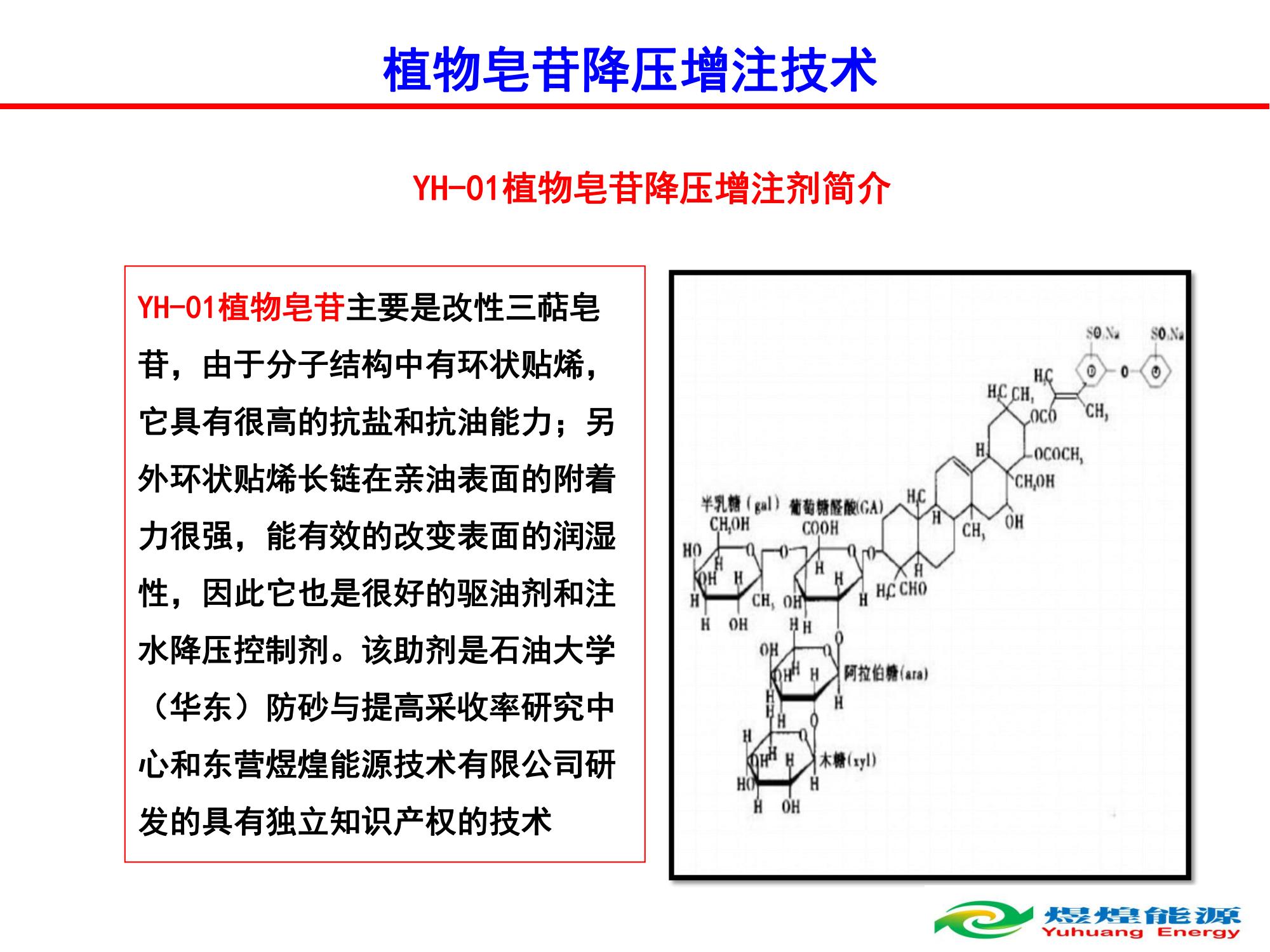 YH-01植物皂苷降壓增注技術(shù)-修改_01.jpg