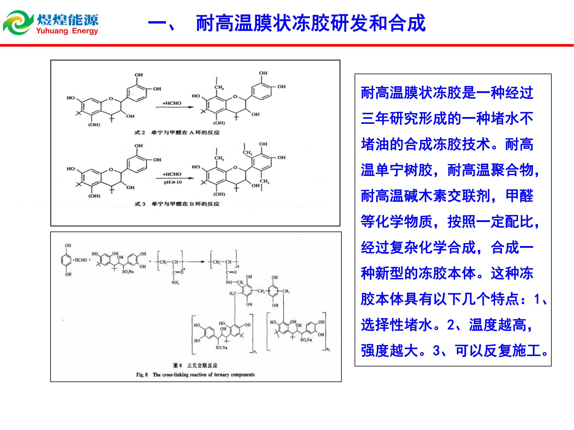 耐高溫膜狀凍膠堵水技術(shù)-修改_01.jpg