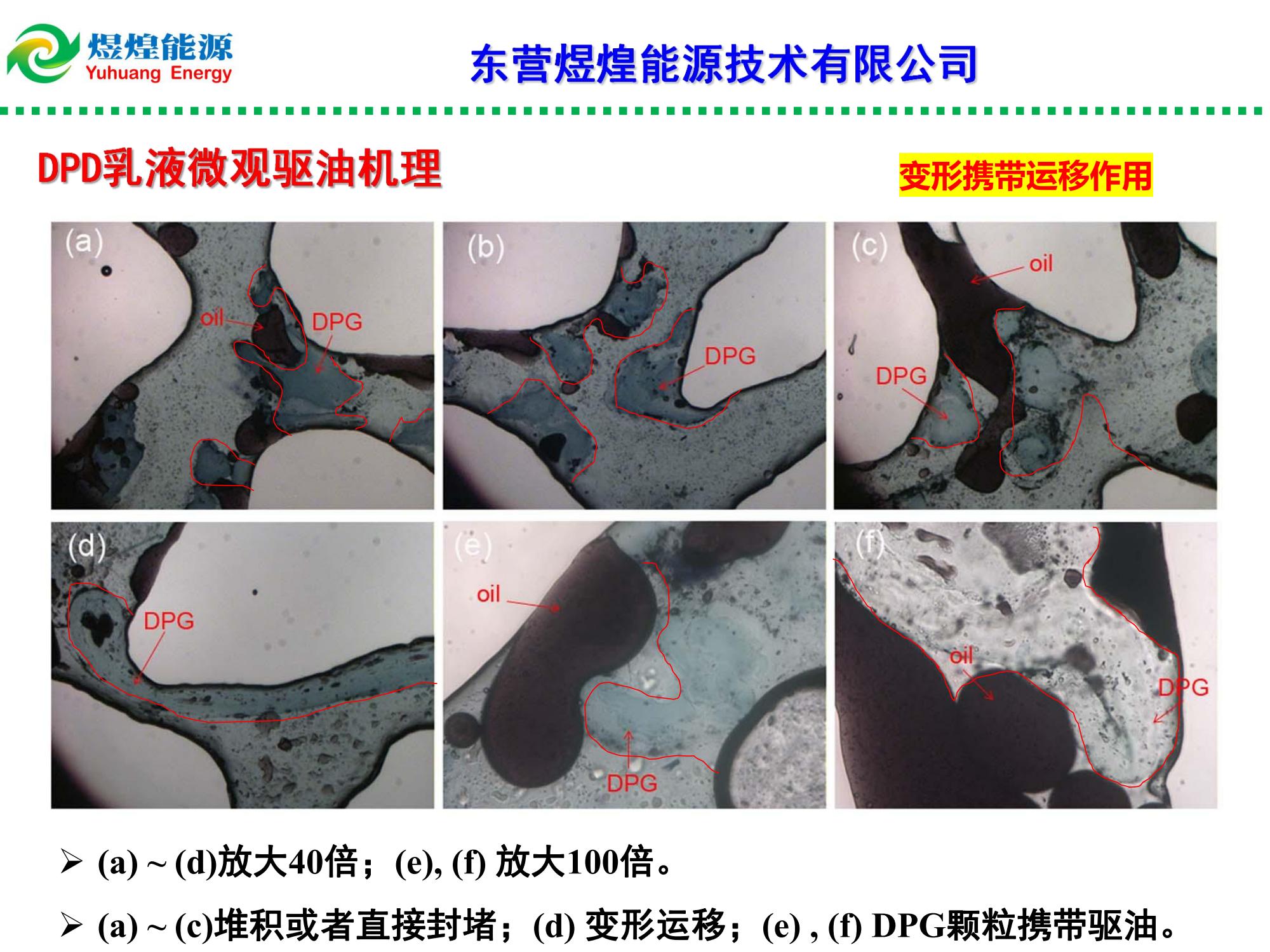 納微米多尺度凍膠膨脹顆粒乳液(DPD)調(diào)驅(qū)技術(shù)-修改_06.jpg